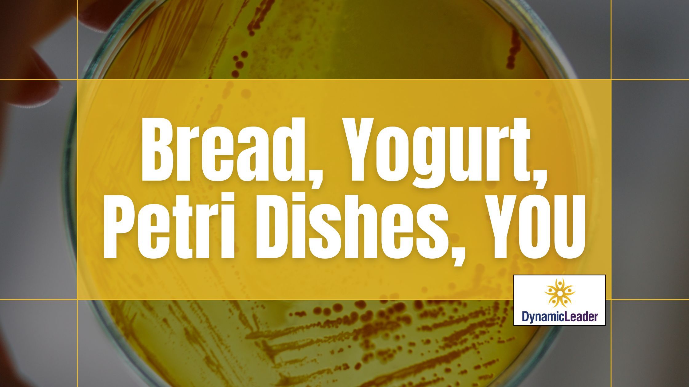 Bread, Yogurt, Petri Dishes, YOU — Wednesdays with Wayne note by Dr. Wayne Pernell