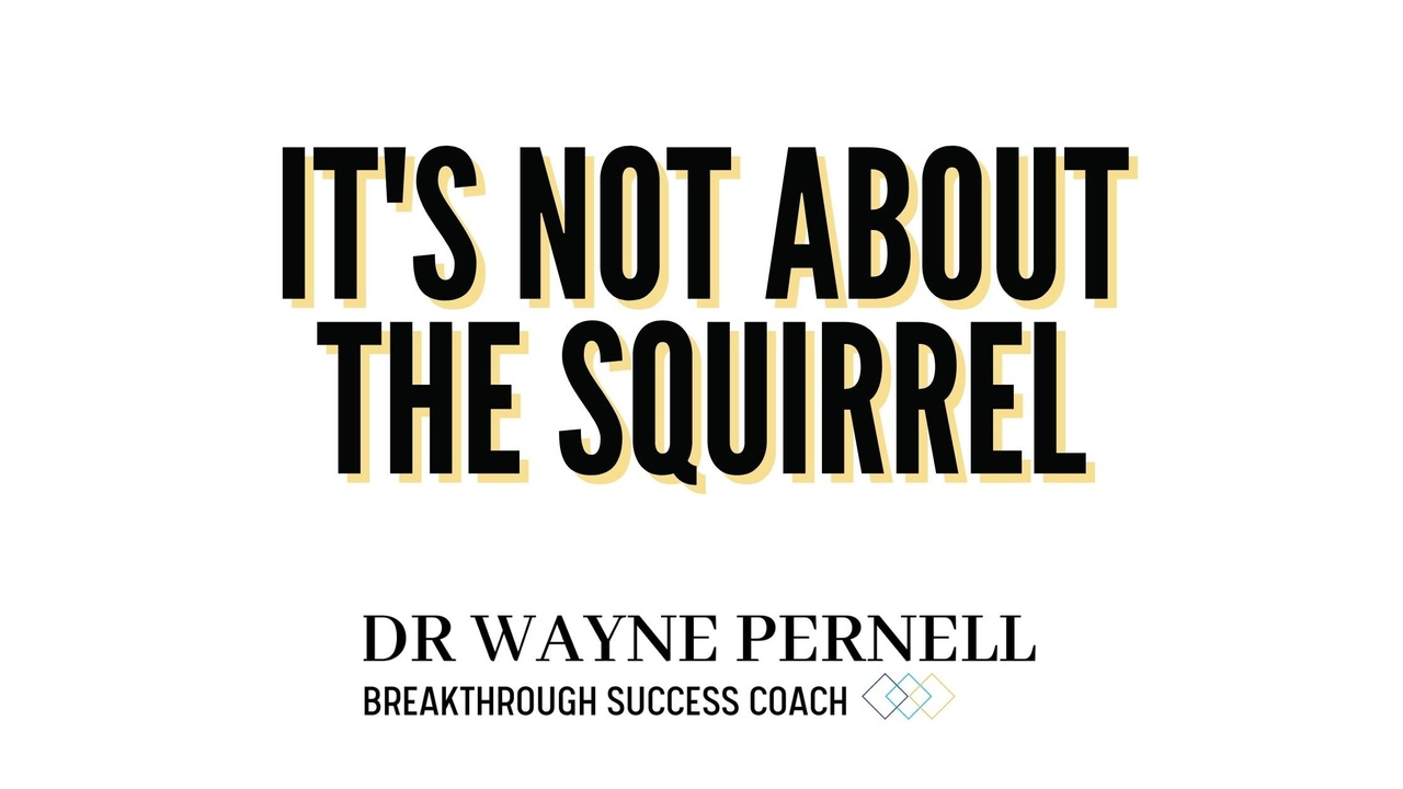 It's Not About The Squirrel (Self-Sabotage and Patterns for Distraction — Wednesdays with Wayne note by Dr. Wayne Pernell