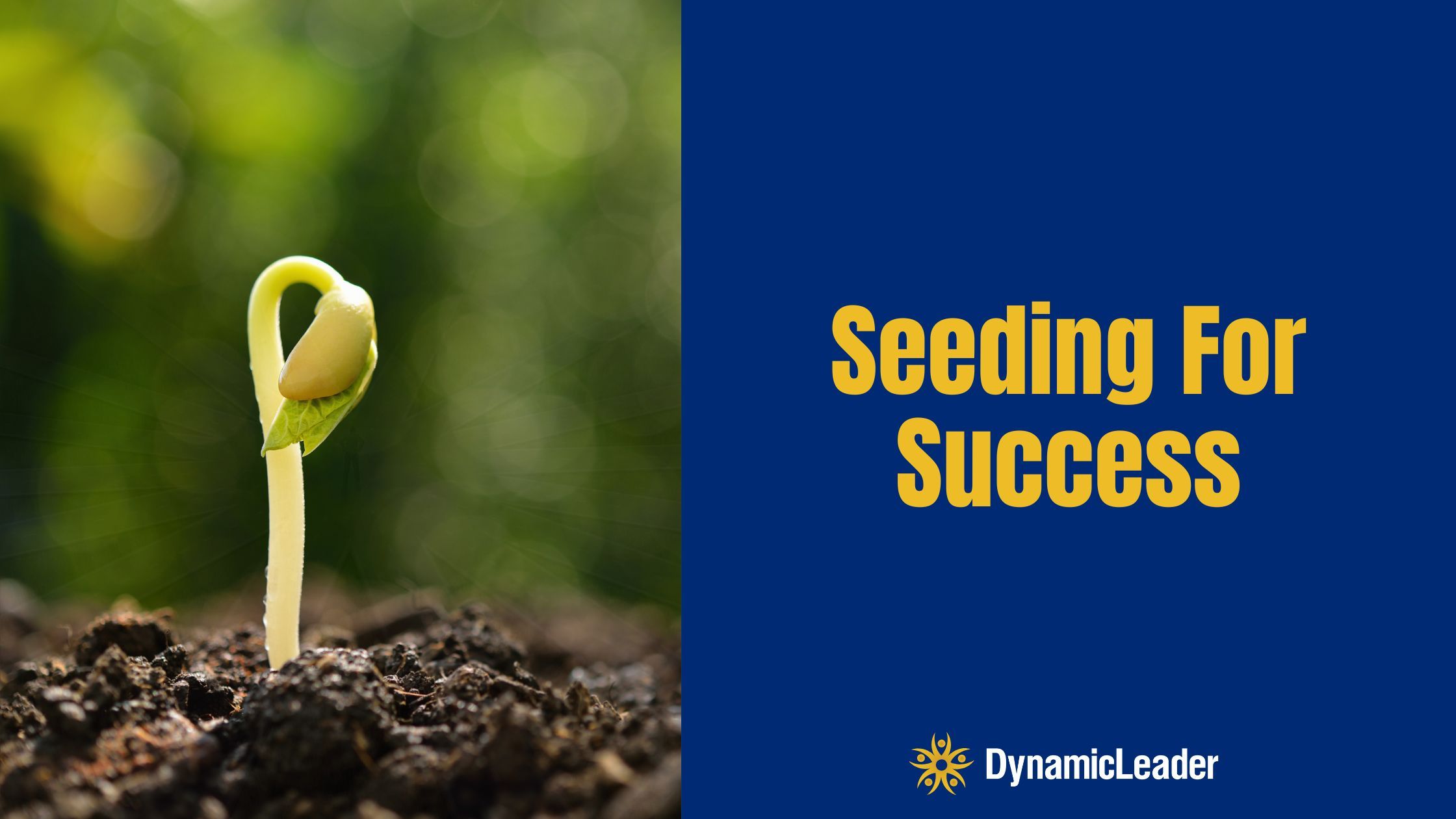 Seeding for Success — Wednesdays with Wayne note by Dr. Wayne Pernell
