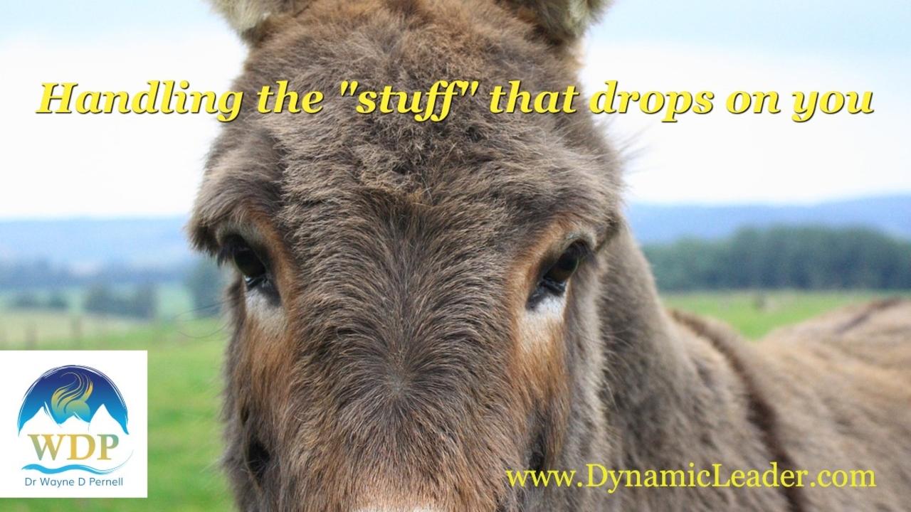 Taking Advantage of that Bull-Stuff — Wednesdays with Wayne note by Dr. Wayne Pernell
