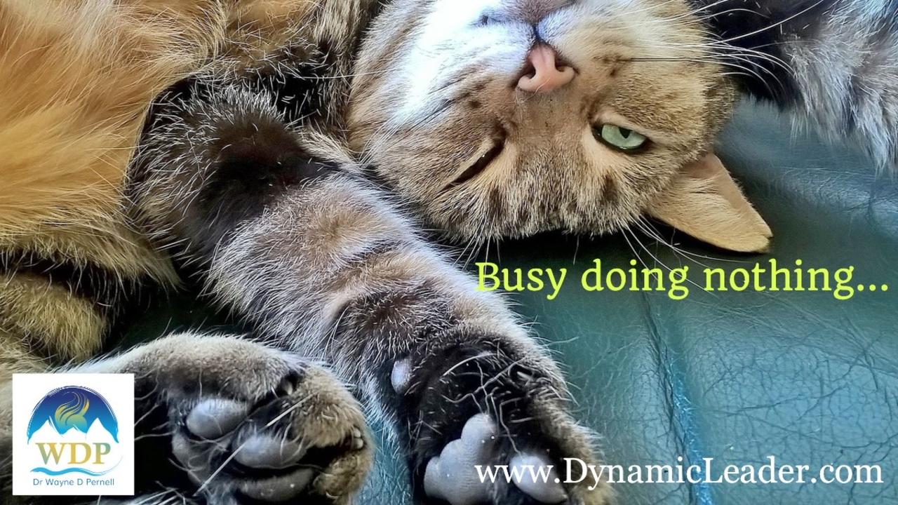 The Not-Doing Decision — Wednesdays with Wayne note by Dr. Wayne Pernell