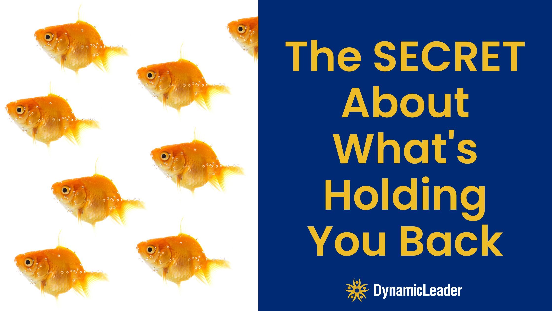 The Secret About What’s Holding You Back — Wednesdays with Wayne note by Dr. Wayne Pernell