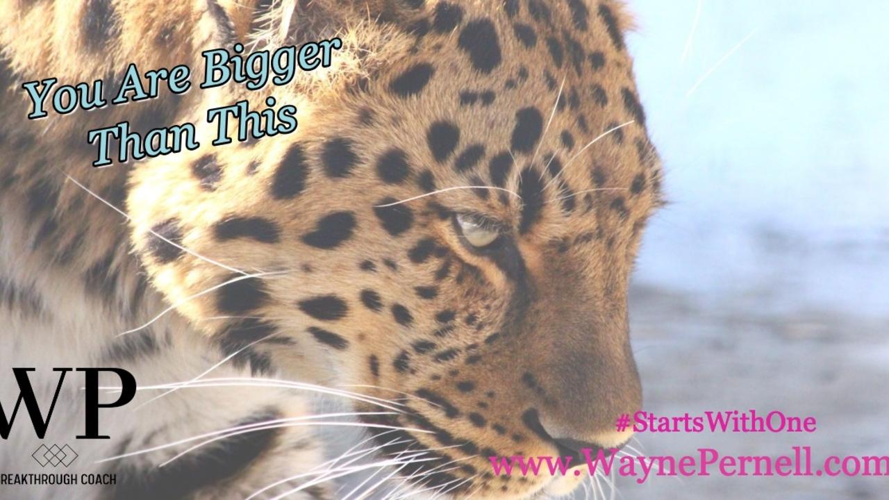 You Are Bigger Than This — Wednesdays with Wayne note by Dr. Wayne Pernell